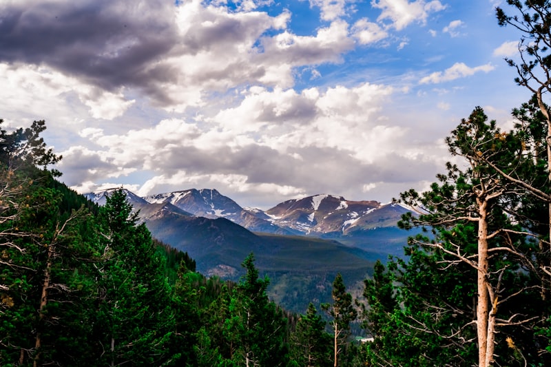 Franktown Colorado Real Estate