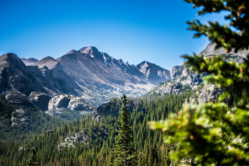 Lakewood Colorado Real Estate